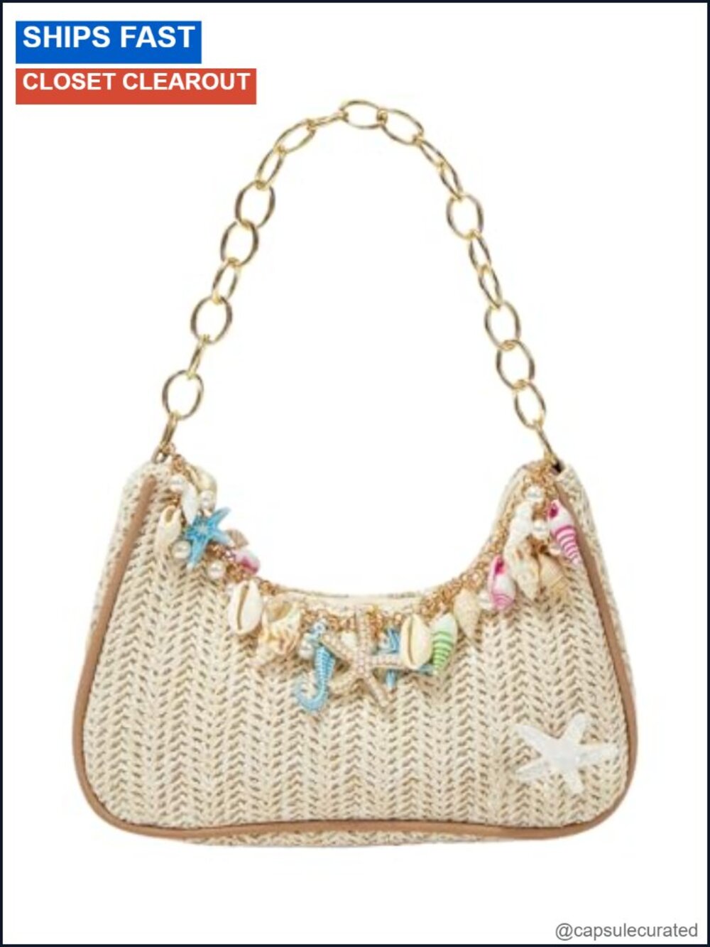 Straw Beach Beaded Purse with Chain Strap and Zipper Closure